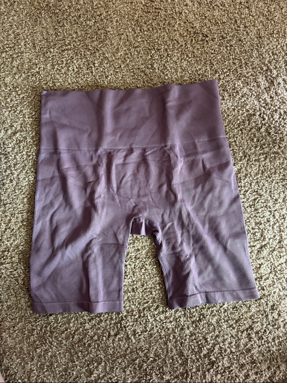 wild fable Mauve Ribbed High-Waist Bike Shorts